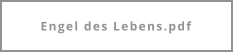Engel des Lebens.pdf