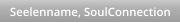 Seelenname, SoulConnection