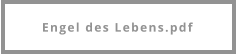Engel des Lebens.pdf